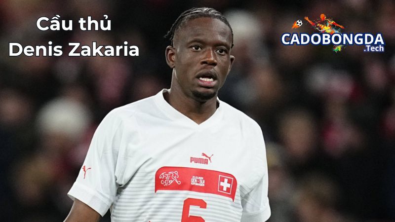 Đôi nét về Denis Zakaria